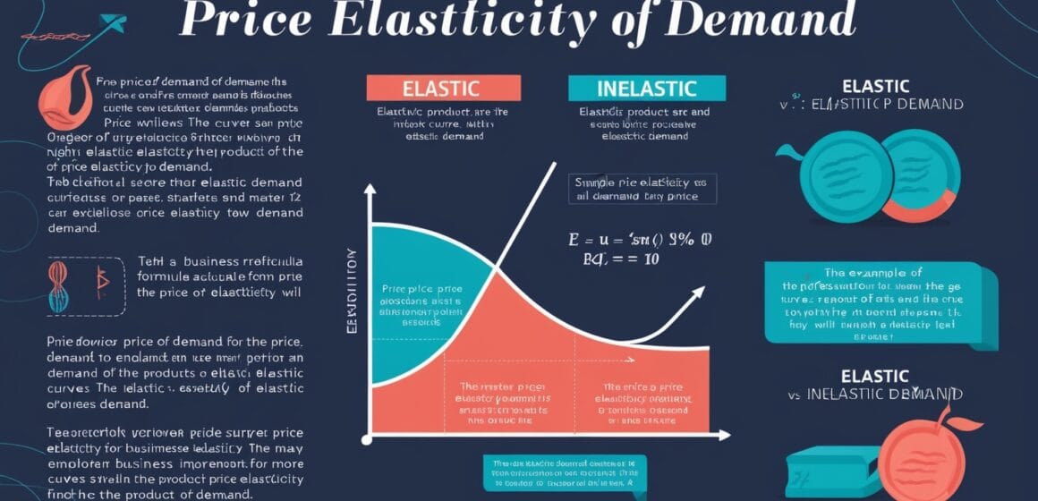 The Economics of Price Elasticity and Its Impact on Your Business